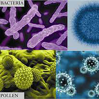 Dust & Microbiological Sampling